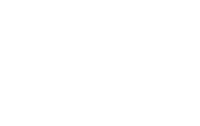 NaimadTools Logo
